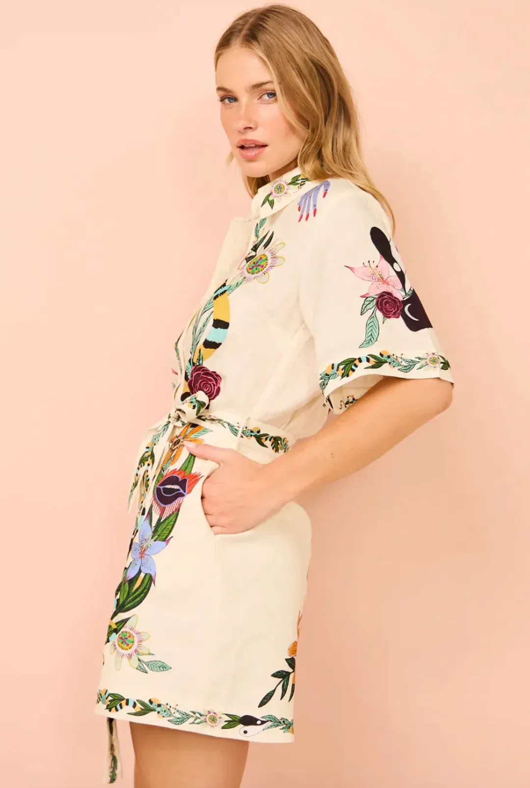 Alemais Meagan Mini Shirt Dress Multi Size AU 14 for rent on The Volte - main image