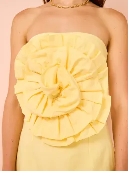 Issy Rose Bodice Mini Dress in Citrus Size 10 for rent on The Volte - image 4