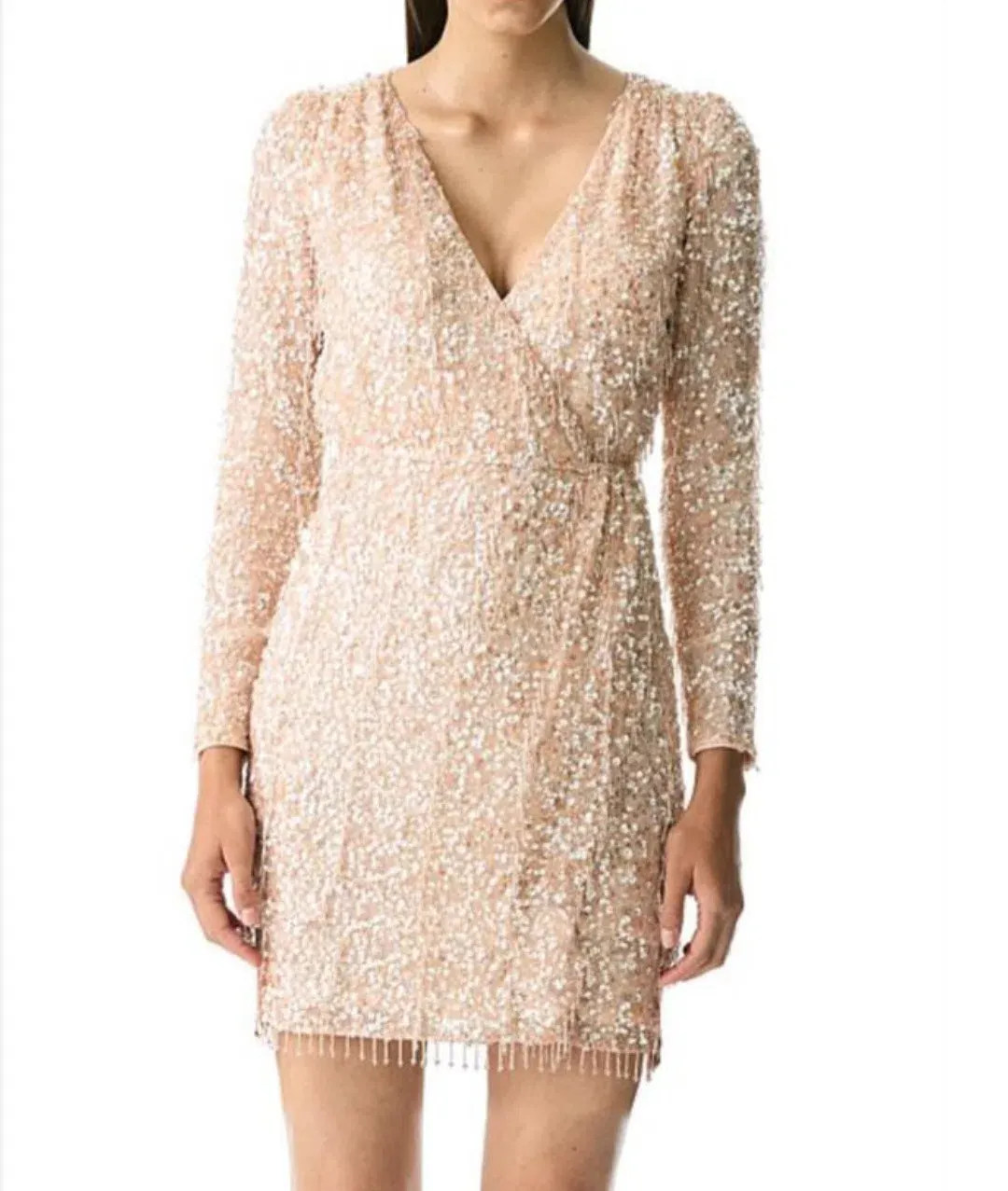 Rachel Gilbert Belle Mini Dress Pink Size 0/AU6 for rent on The Volte - main image