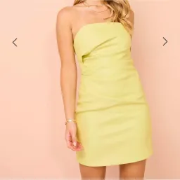 Manning Cartell Love Blossoms Raffia Mini Dress in Limoncello Size 10 for rent on The Volte - image 1