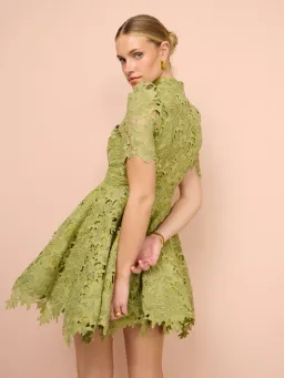 Leo Lin Elise Lace Short Sleeve Mini Dress Olive Size 14 for rent on The Volte - image 3