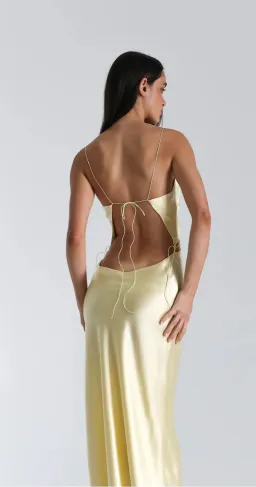 Natalie Rolt Iris Dress in Lemon Size 1 / Size AU 8 for rent on The Volte - image 3