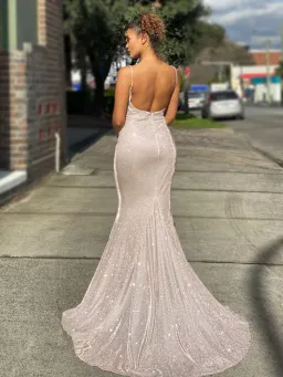 Jadore JX4010 Gown Musk Size 16 for rent on The Volte - image 3