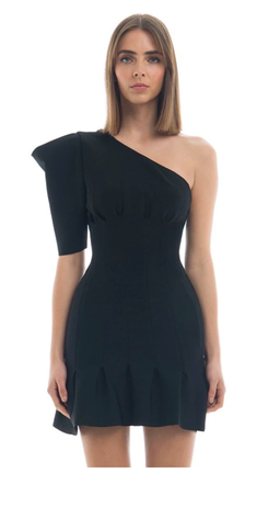 MISHA Soraya Mini Dress Size 12 for rent on The Volte - image 1