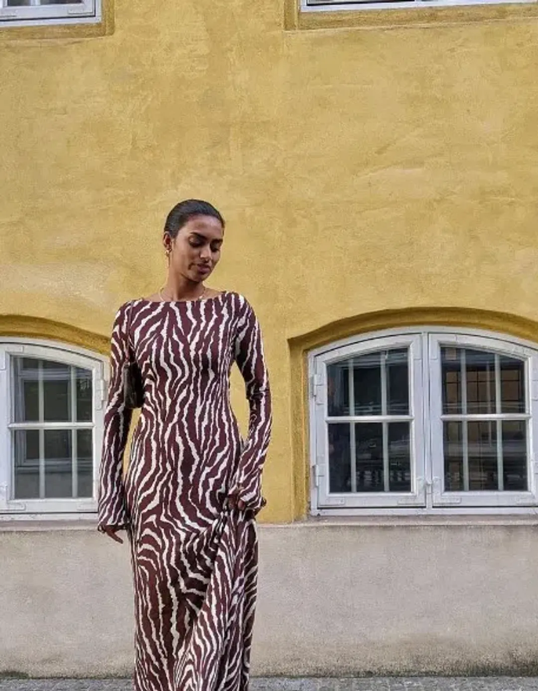 Realisation Par The Gia In Animal Zebra Print Size L / Au 12 for rent on The Volte - main image