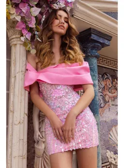 Eliya The Label Bianca Mini Dress Pink Size L / AU 12 for rent on The Volte - image 5