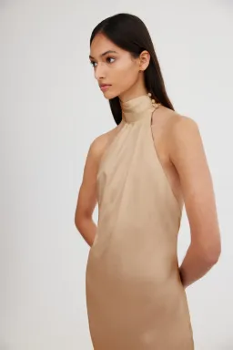 Significant Other Darcy Backless Dress Sand Size 8 for rent on The Volte - image 4