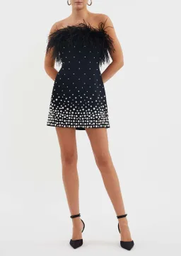 Rebecca Vallance Anelise Mini Dress Black Size 16 for rent on The Volte - image 1