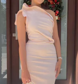Maticevski Instrumental Gown Blush Pink Size 10 for rent on The Volte - image 2