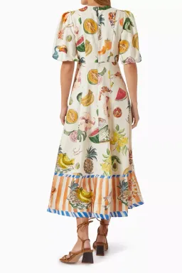 Alemais Theo Midi Dress Multi Size 12 AU for rent on The Volte - image 6