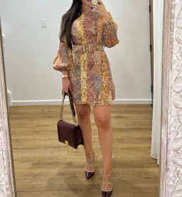 Zimmermann Luminosity Belted Mini Dress Multi Paisley Stripe Size 0 / AU 8 for rent on The Volte - image 3