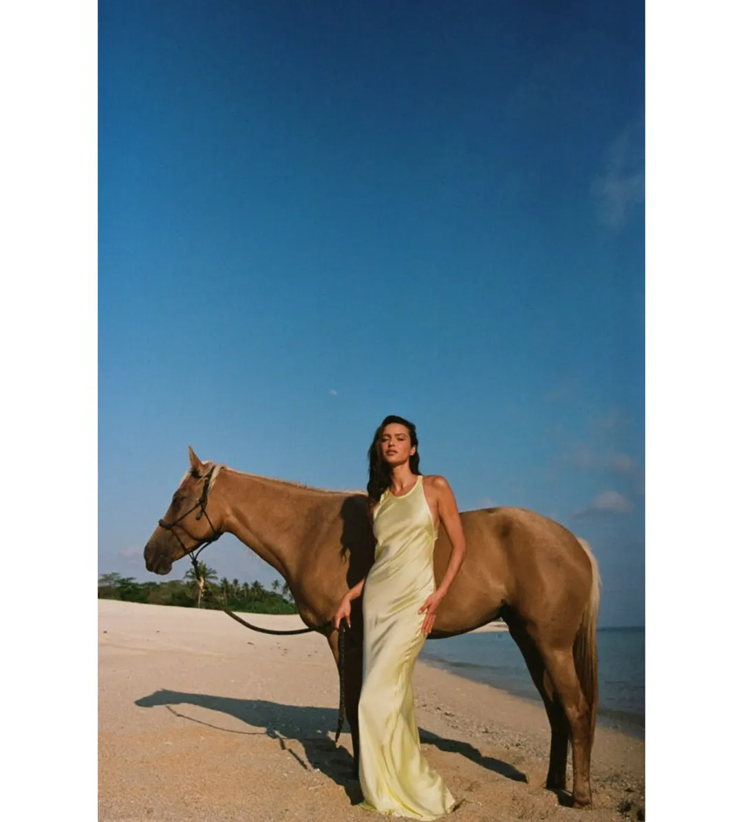 Turquoise lane Andie Dress in Lemon Yellow Size S / AU 8 for rent on The Volte - main image