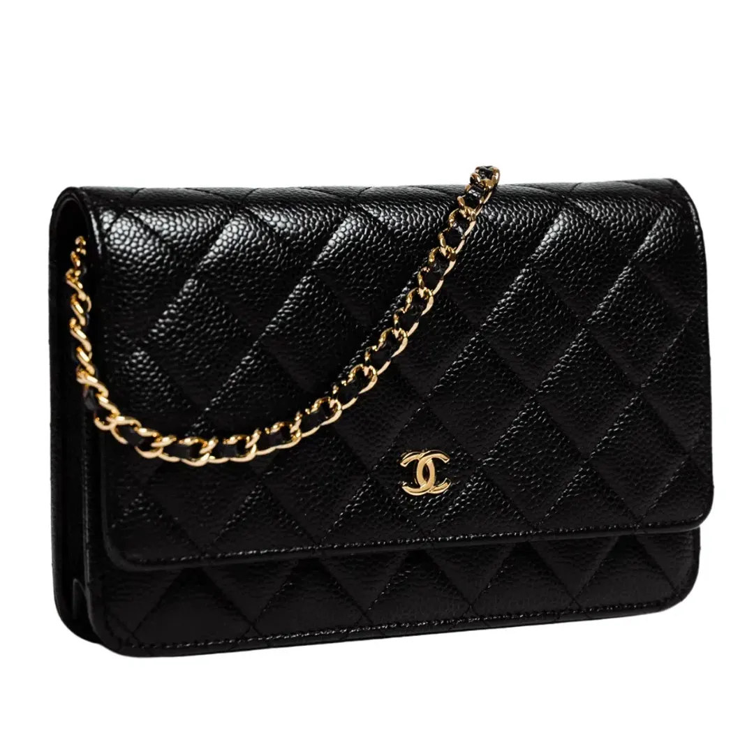 Chanel Classic Wallet On Chain Bag Black/Gold for rent on The Volte - main image