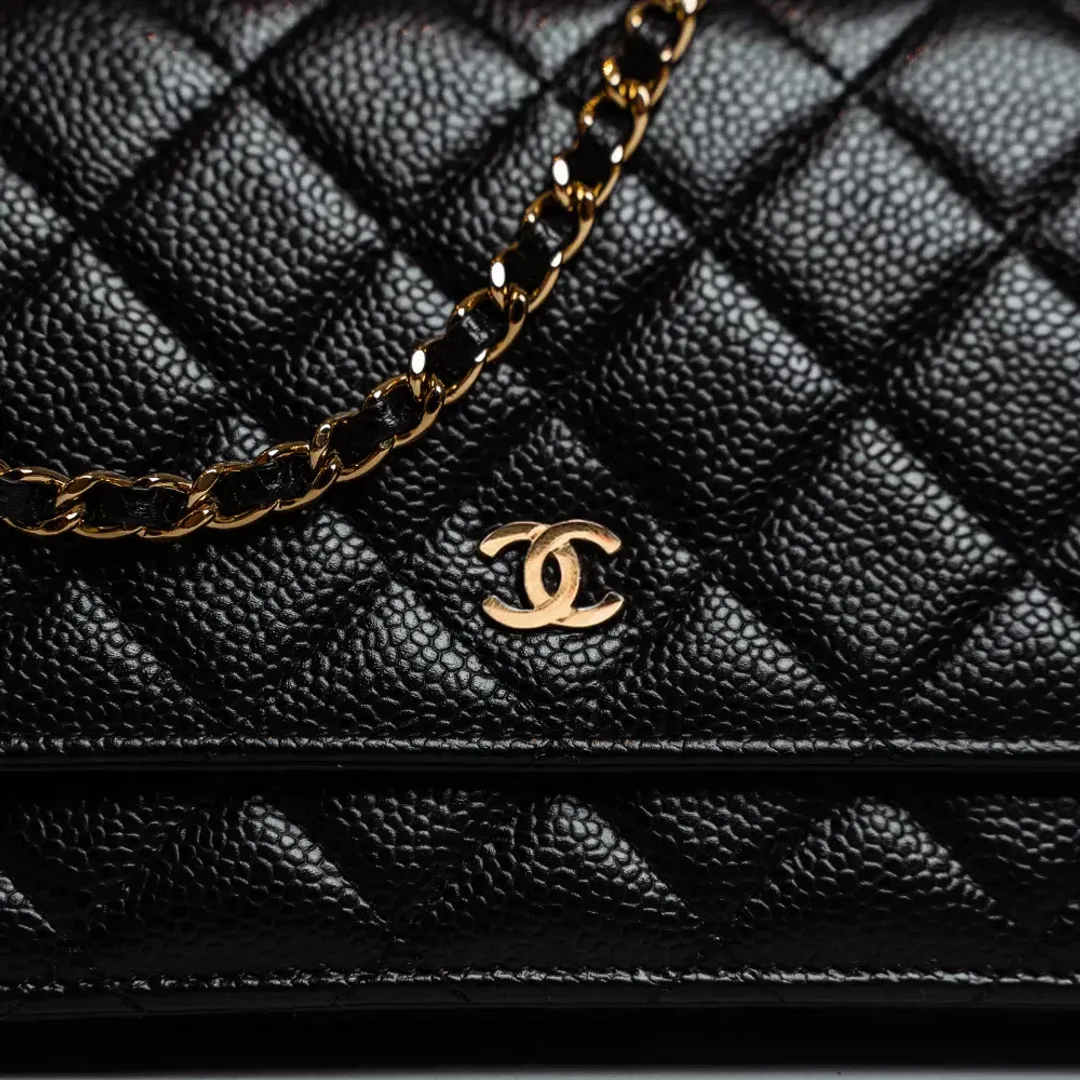 Chanel Classic Wallet On Chain Bag Black/Gold for rent on The Volte - main image