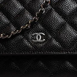 Chanel Classic Wallet On Chain Bag Black/Silver for rent on The Volte - image 3