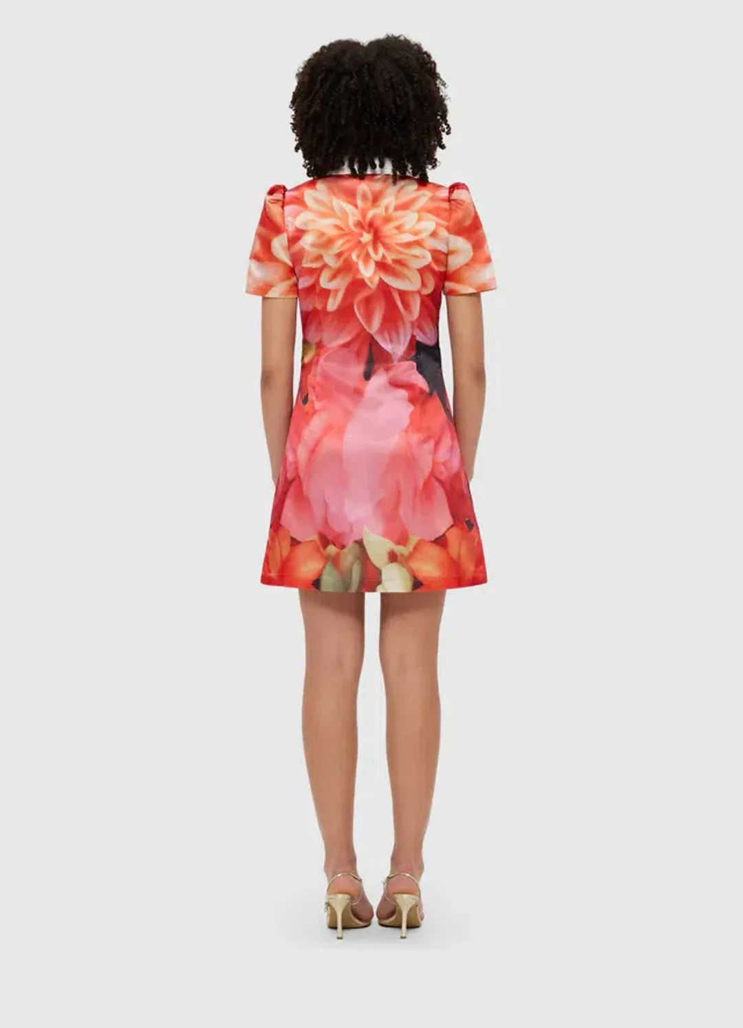 Leo Lin Brooke Mini Dress Floral Size 12 for rent on The Volte - main image