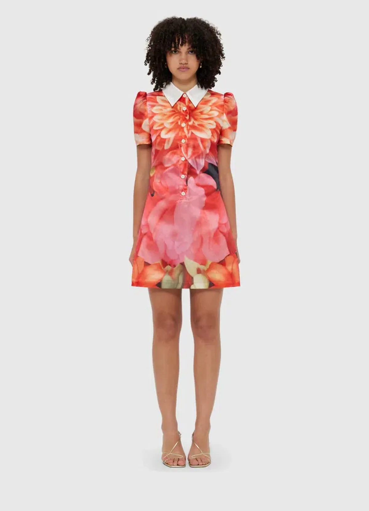 Leo Lin Brooke Mini Dress Floral Size 12 for rent on The Volte - main image