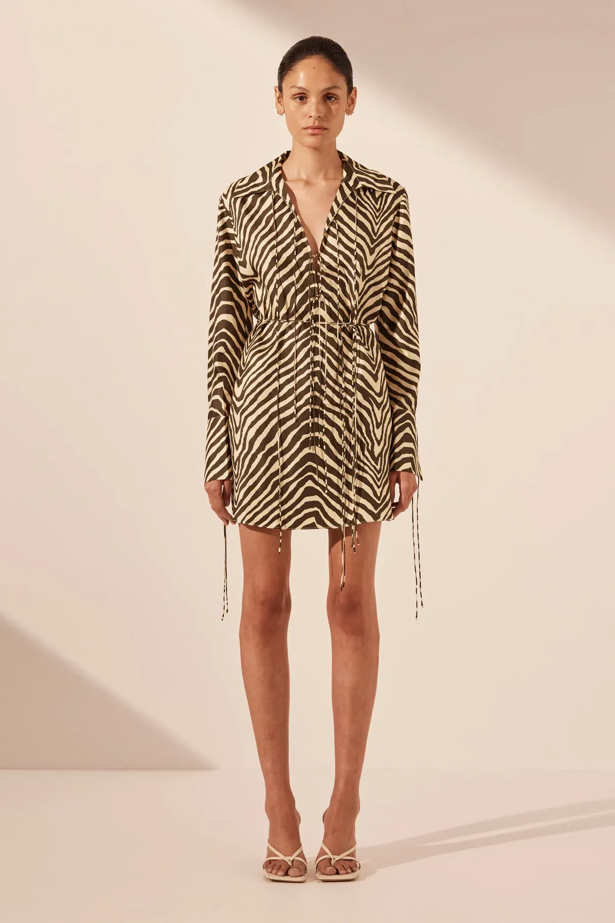 Shona Joy Sana Silk Shirt Tie Mini Dress Bone/Chocolate Size 8 - Image 4