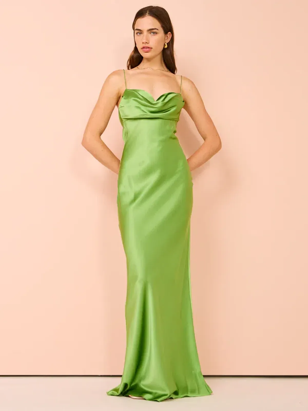Rachel Gilbert Skye Gown in Maxi Dress in Green Size AU 16 - Image 1