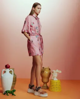 Alemais Timmy Embroidered Mini Dress Pink Size AU 14 for rent on The Volte - image 2
