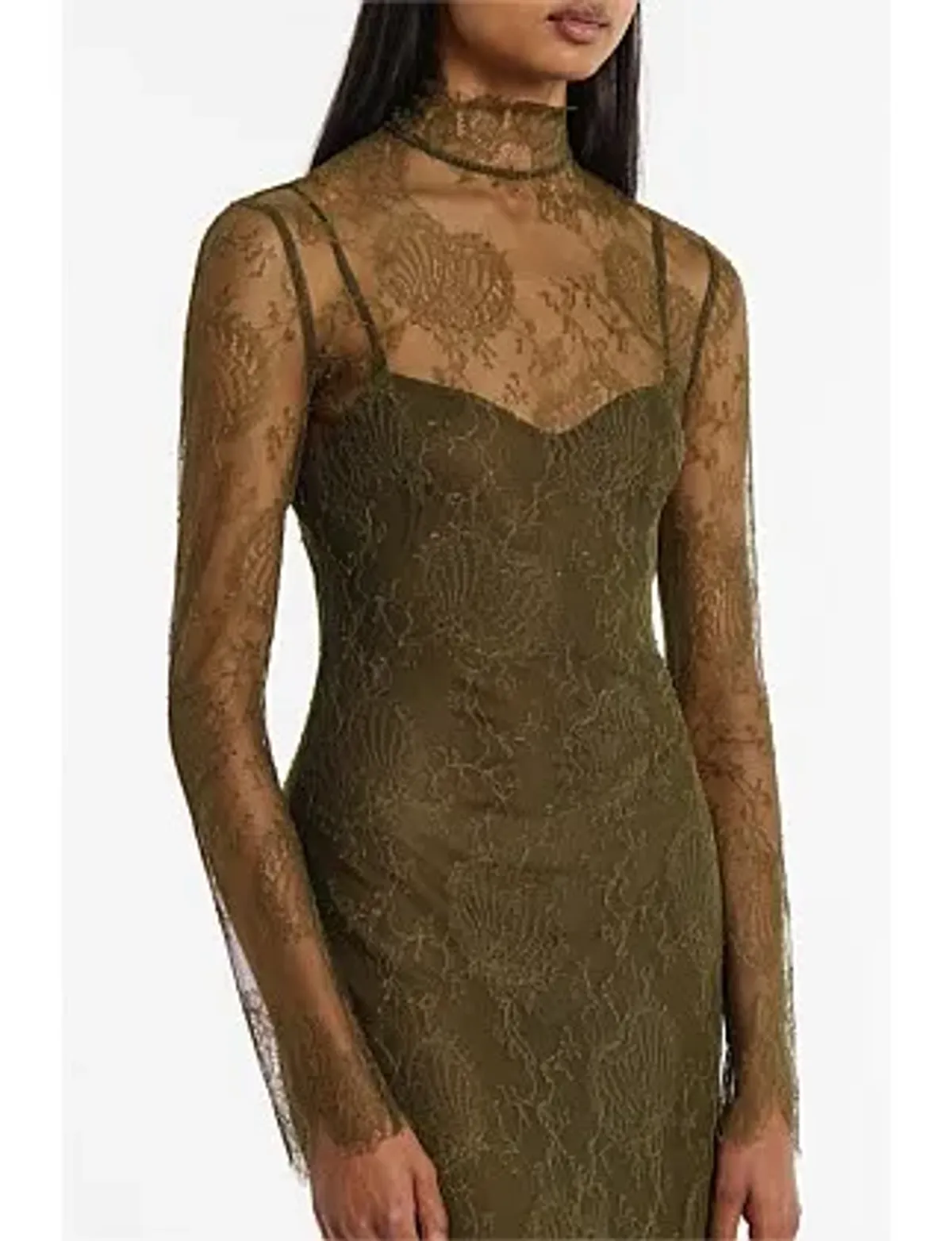 Carla Zampatti Juniper Chantilly Lace Sleeved Gown Olive Size 14 - Image 2