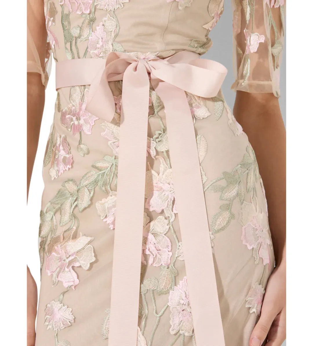 Montique Raya Embroidered Gown Pink Size AU 16 for rent on The Volte - main image