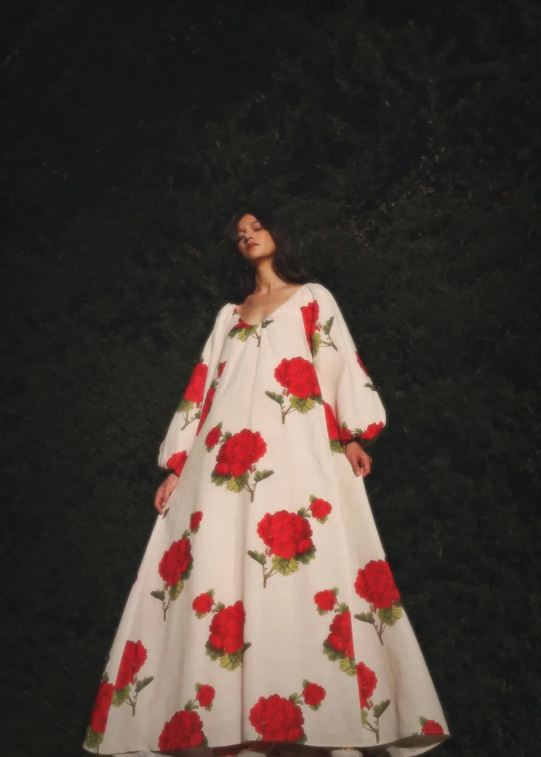 Morton Mac Delphina Dress Tall Crimson Ivy One Size for rent on The Volte - main image