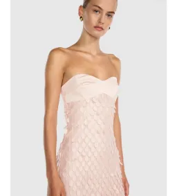Manning Cartell Supreme Extreme Balconette Maxi Dress Rosewater Size AU 4 for rent on The Volte - image 2