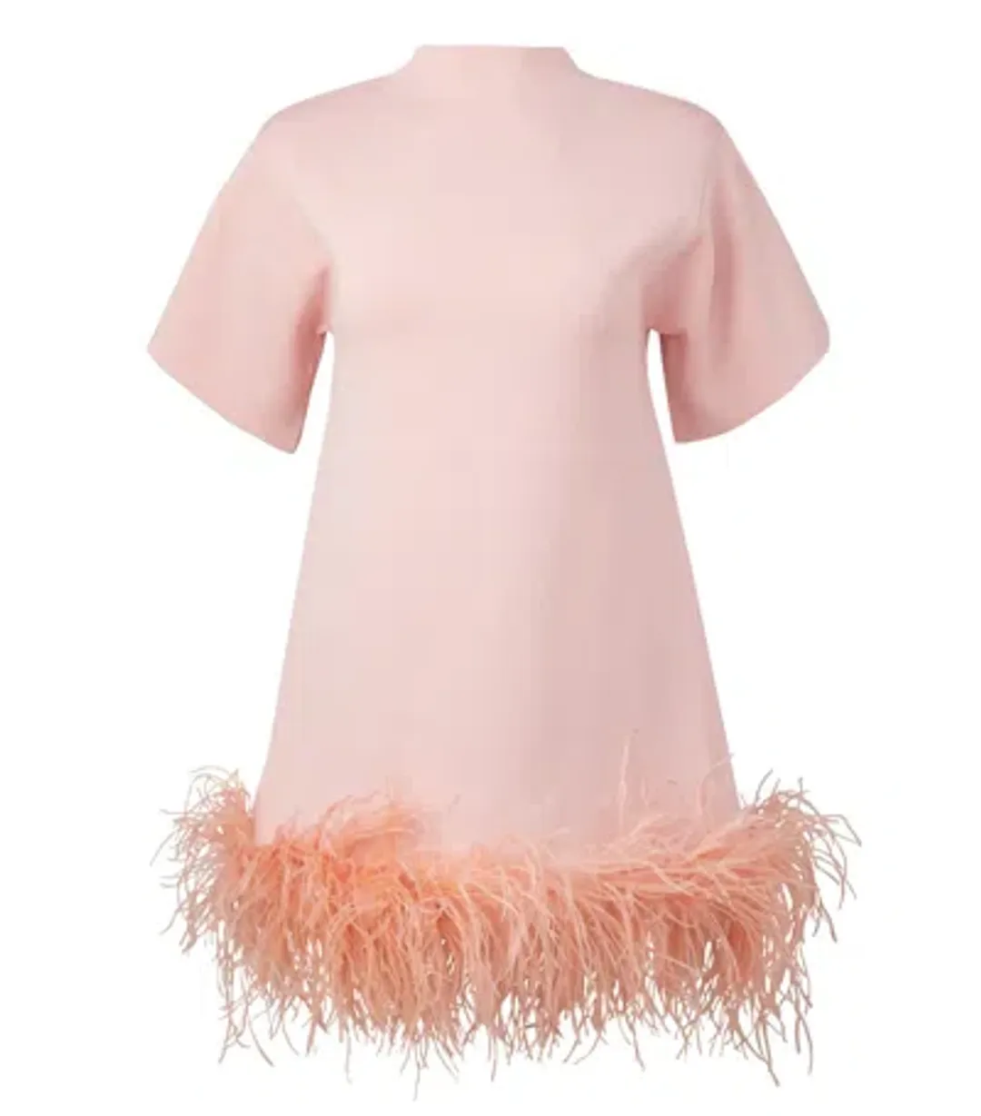Rachel Gilbert Rita Mini Pink Size S for rent on The Volte - main image