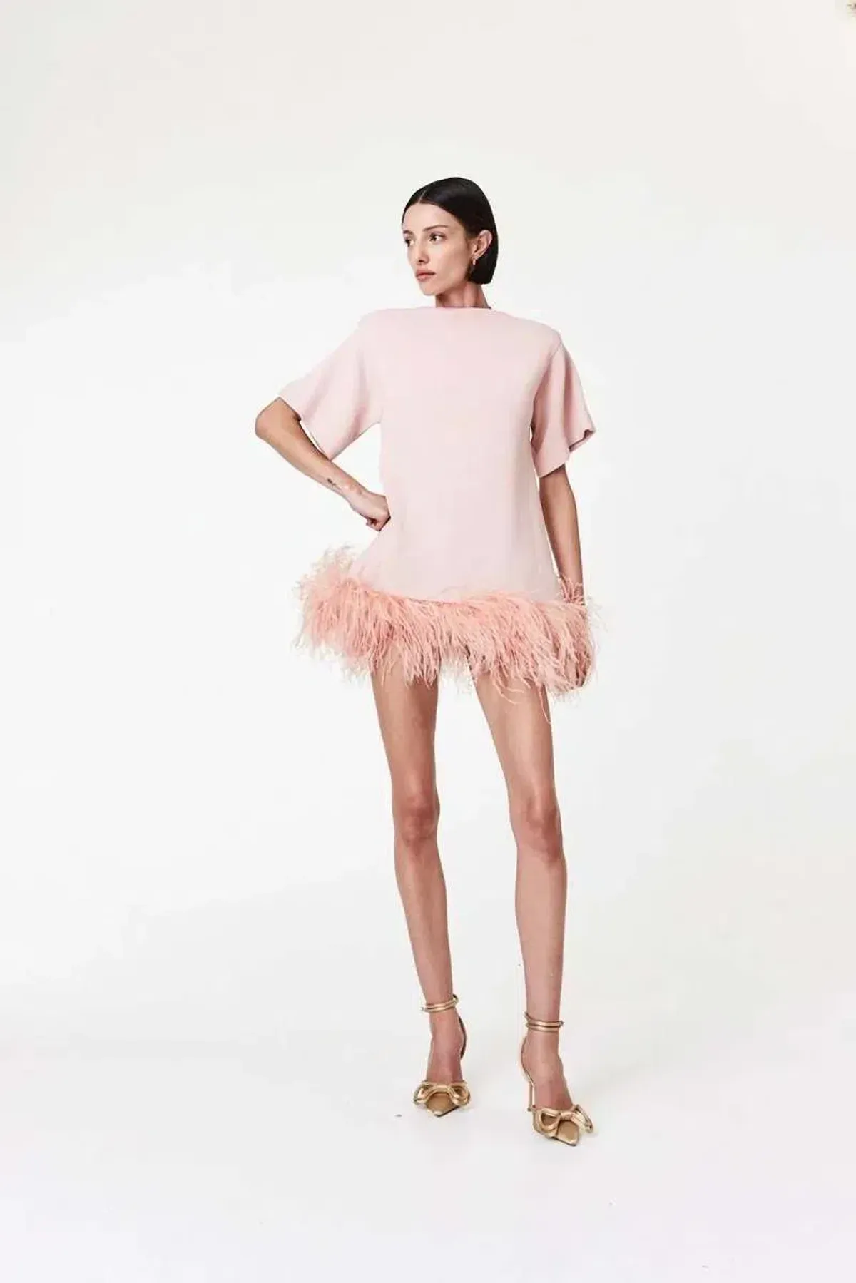 Rachel Gilbert Rita Mini Pink Size S / Size AU10 for rent on The Volte - main image
