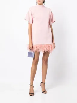 Rachel Gilbert Rita Mini Pink Size S for rent on The Volte - image 1