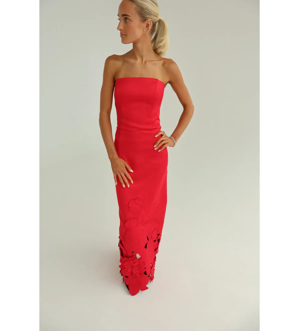 Leo Lin Rayna Appliqué Bustier Maxi Dress in Rosa Size AU10 - Image 3