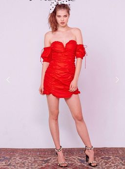 For love & lemons Jackson Shirred Mini Dress size 8 for rent on The Volte - image 1