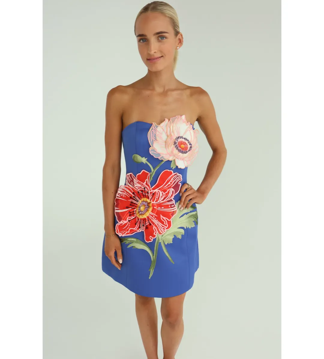 Leo Lin Rosario Applique Floral Bustier Mini Dress in Lapis Size 10 for rent on The Volte - main image