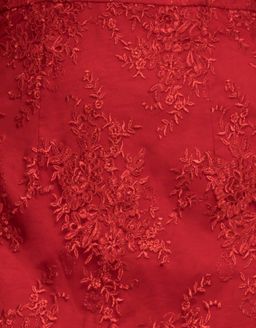 Bariano Emily Double Tier Lace Dress Red Size 8 for rent on The Volte - image 4