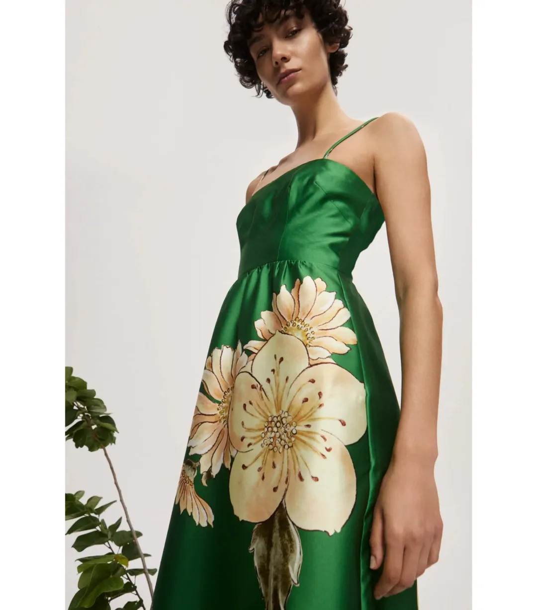Alemais Sage Midi Dress Green Size AU 8 for rent on The Volte - main image