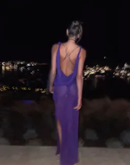 Rat & Boa Absinthe Maxi Dress in Purple Size AU8 for rent on The Volte - image 3