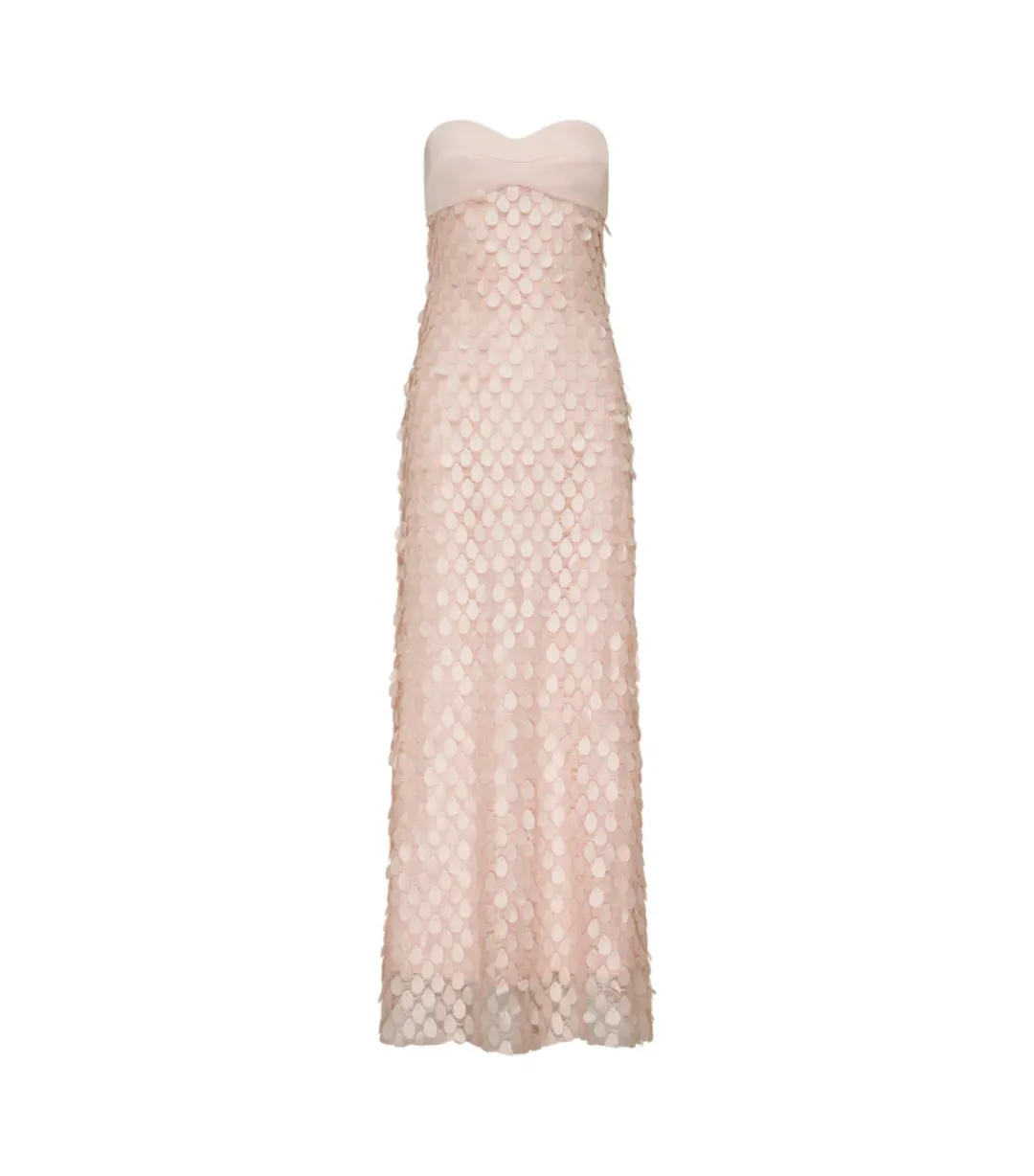 Manning Cartell Supreme Extreme Balconette Maxi Dress Rosewater Size AU 8 for rent on The Volte - main image