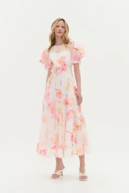 AJE Clementine Midi Dress Size 6 for rent on The Volte - image 1