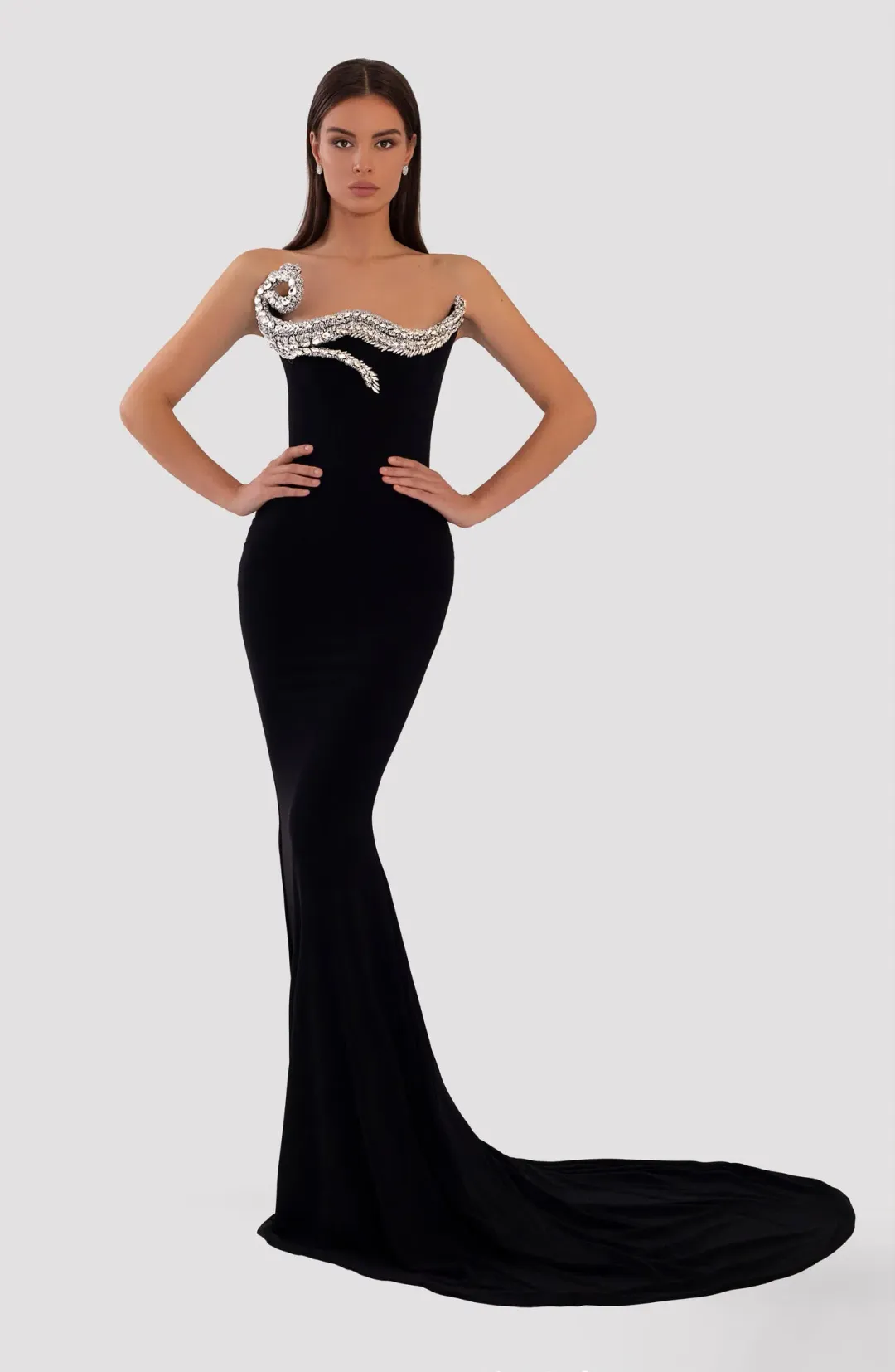 Albina Dyla Long Embroidered Black Dress for rent on The Volte - main image