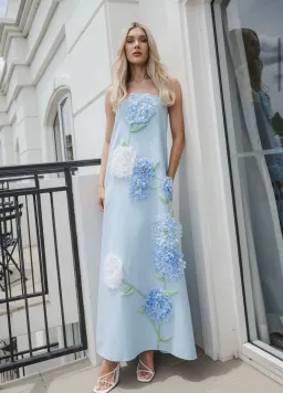 Elliatt Buttercup Maxi Dress in Blue S/AU 8 for rent on The Volte - image 1