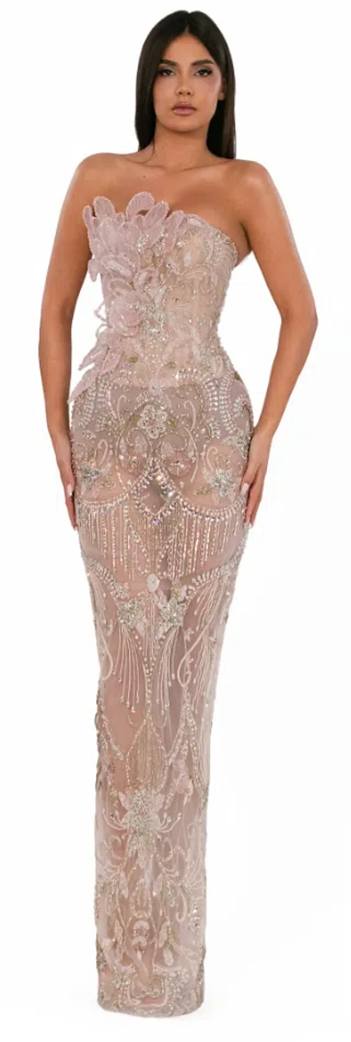 ALBINA DYLA POWDER SHEER FLORAL CRYSTAL GOWN SIZE M - Image 1