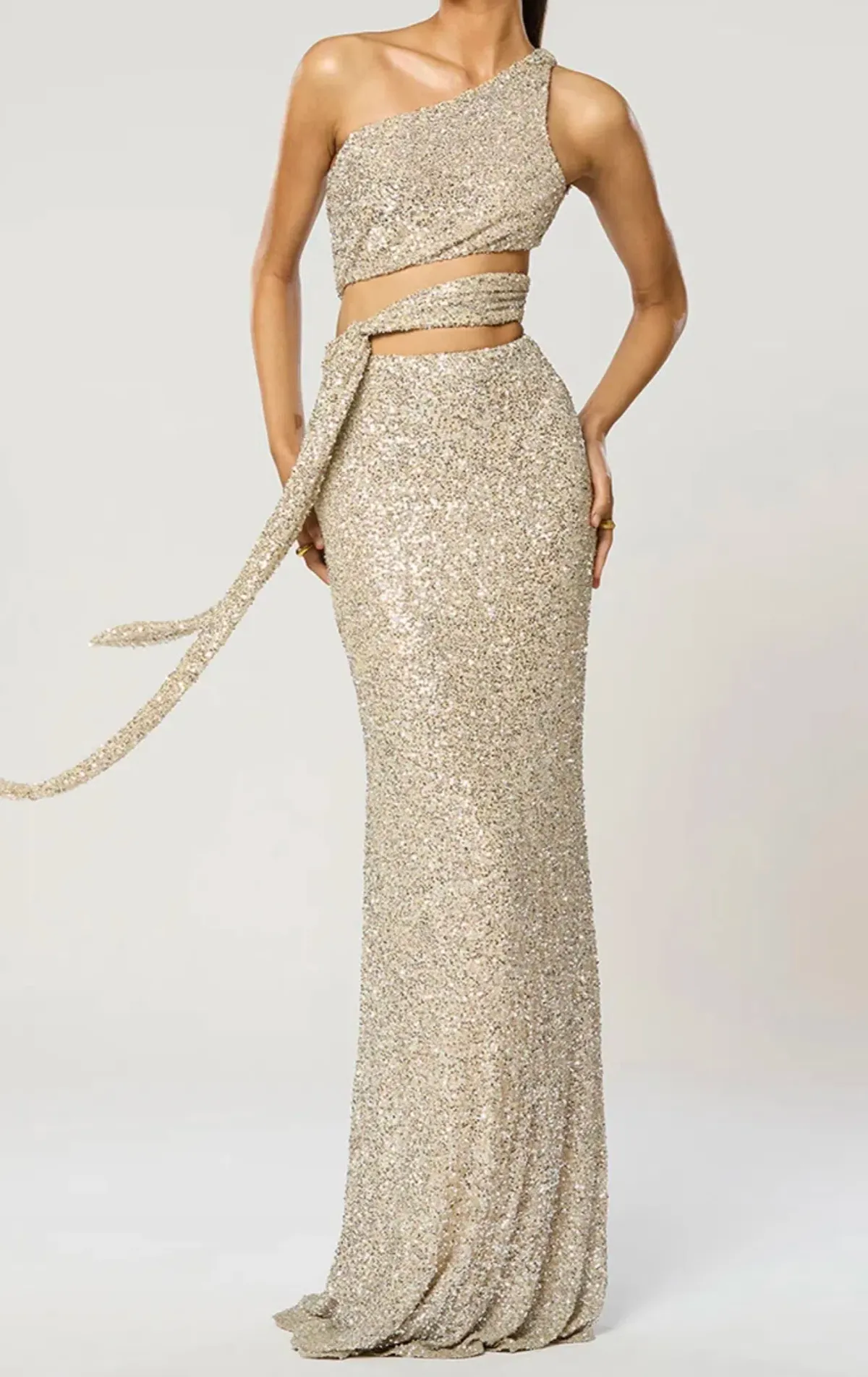 Winona Sterling Sash Dress - Image 1