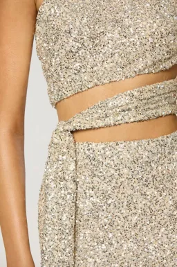 Winona Sterling Sash Dress for rent on The Volte - image 5