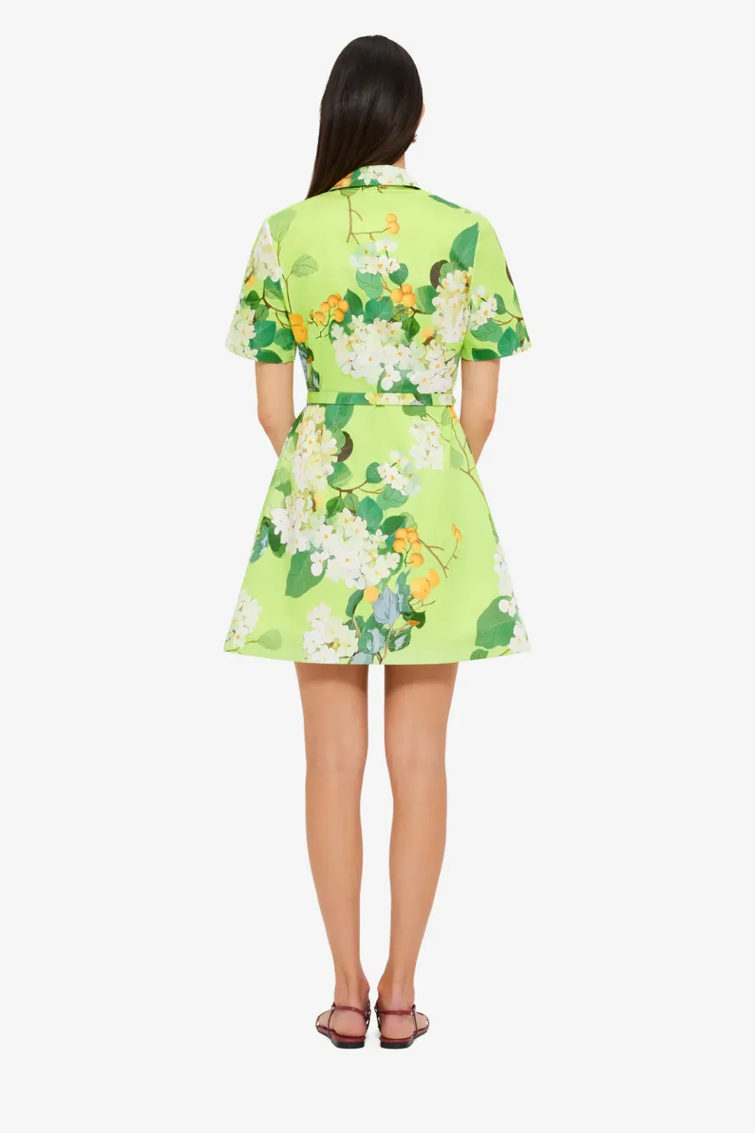 Leo Lin Brigitte mini dress Hydrangea in Lime Sz 10 for rent on The Volte - main image