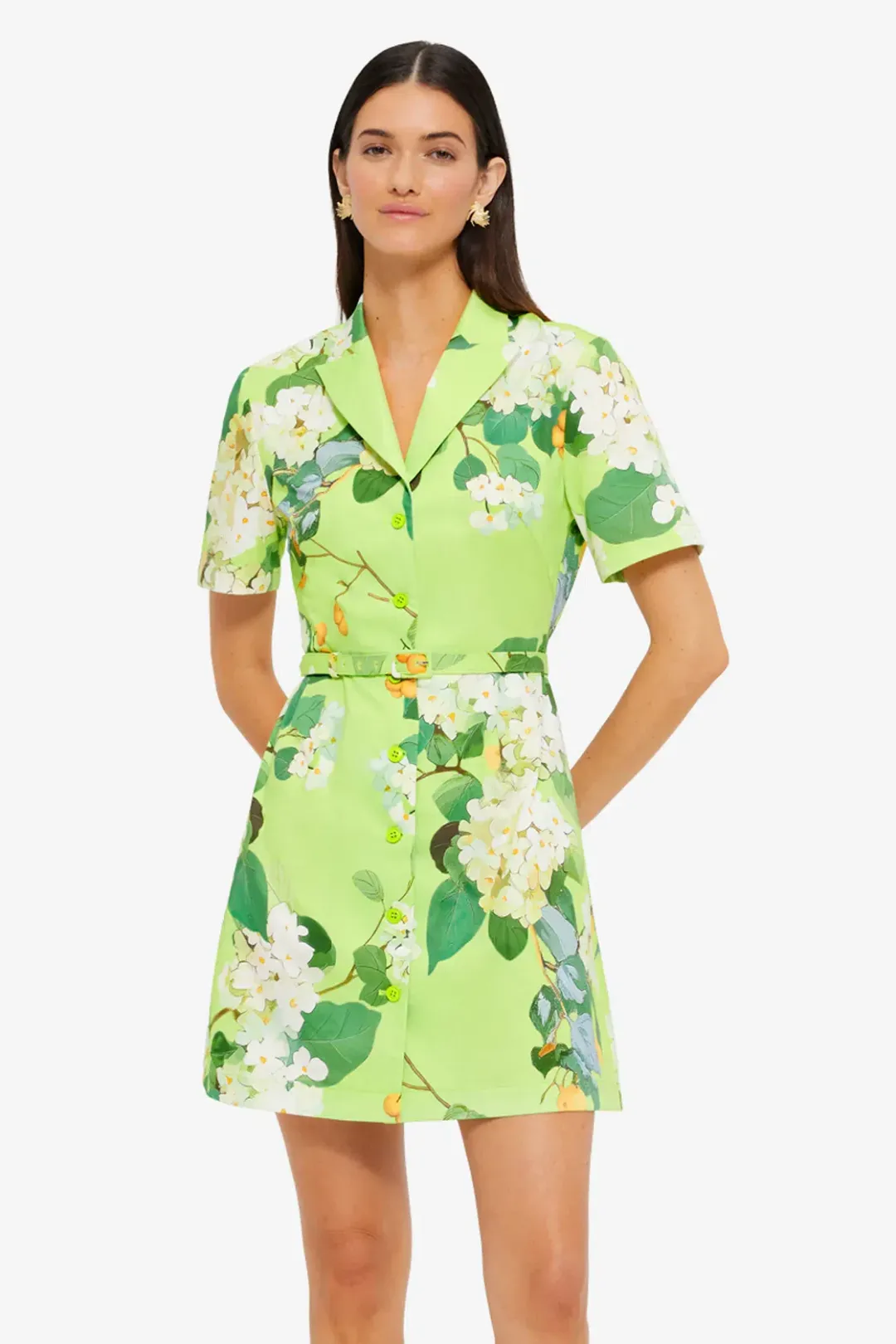 Leo Lin Brigitte mini dress Hydrangea in Lime Sz 10 for rent on The Volte - main image