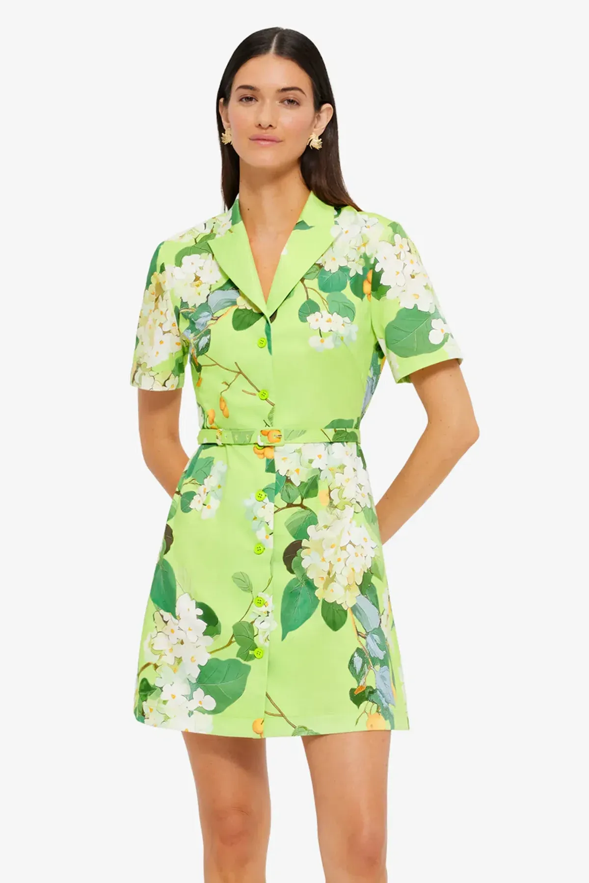 Leo Lin Brigitte mini dress Hydrangea in Lime Sz 10 - Image 1