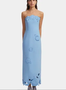 Leo Lin Applique Bustier Maxi Dress in Pastel Blue Size 8 for rent on The Volte - image 1
