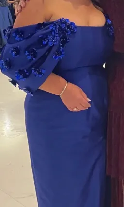 Rachel Gilbert Vito Maxi Gown Blue Size 5 / AU16 for rent on The Volte - image 4