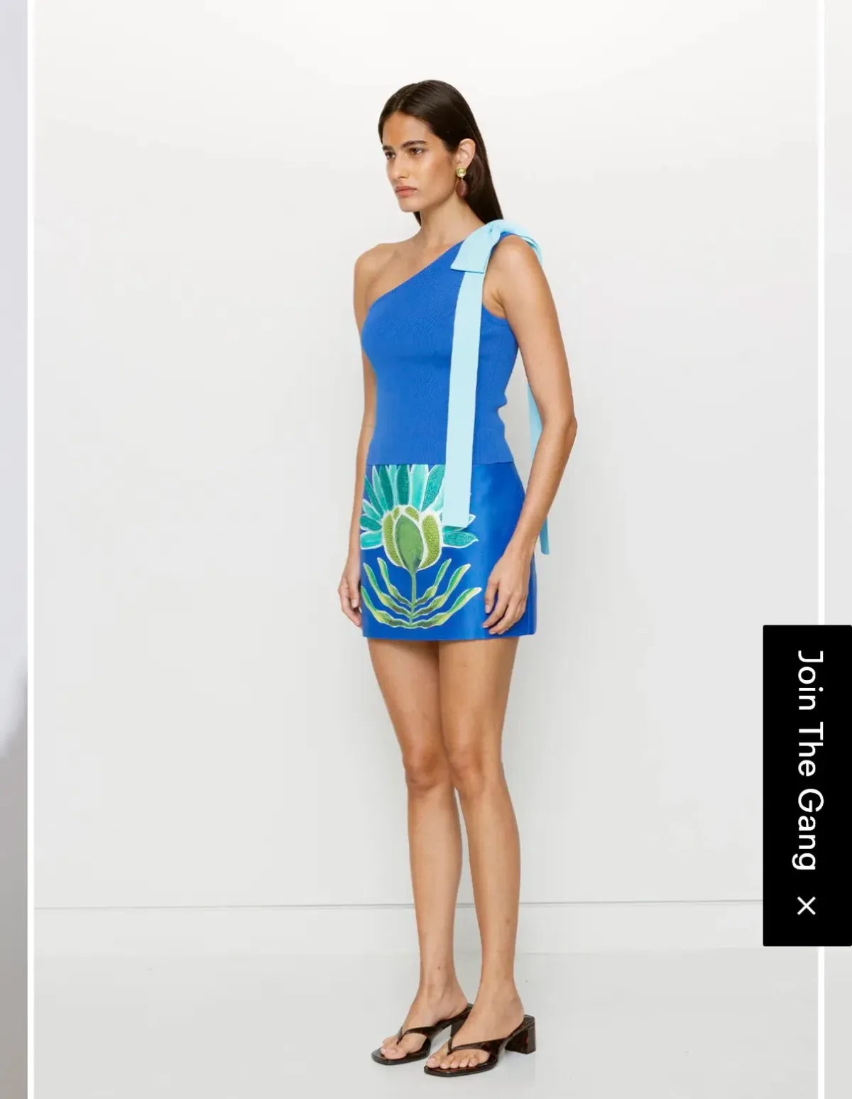 The Wolf Gang Solsana Mini Skirt and Tacha Top for rent on The Volte - main image